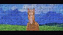 Esperanza Mosaic Tile