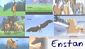 enstan