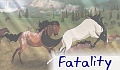Fatality