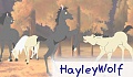 HayleyWolf