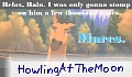 HowlingAtTheMoon