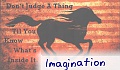 Imagination