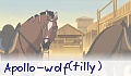 Apollo-pony(tilly)