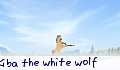 Kiba the white wolf