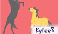 BradPaisleylover1225