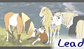 Lead