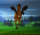 Race against the eagle 