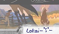 Lokai-�S�-