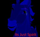its just spirit