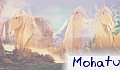 mohatu