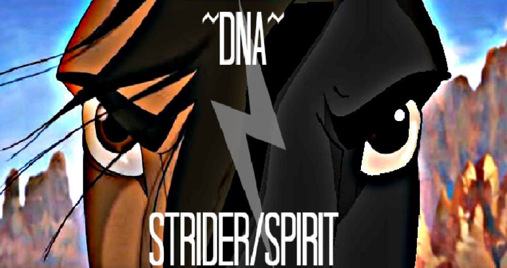 SPIRITvsSTRIDER