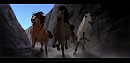 Sons of The King