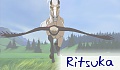 ritsuka
