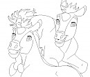 Foals base