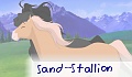 Sand_Stallion