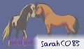 sarahC083