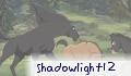shadowlight12