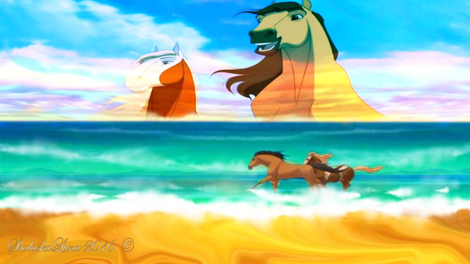 Animation