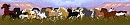 NBH Herd Re upload