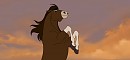 Handsome Stallion