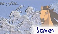 Somes