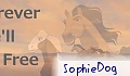SophieDog