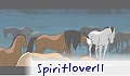 Spiritlover11