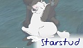 starstud