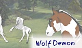 XxWolfDemonxX