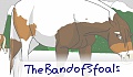 TheBandof3foals