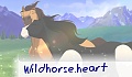 wildhorse.heart
