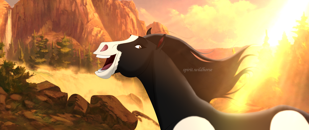 So�ador