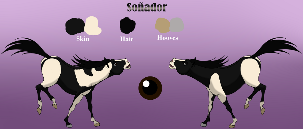 So�ador - Reference sheet