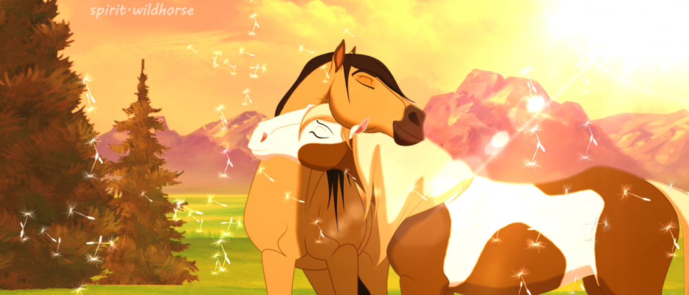 Spirit and Rain