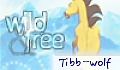Tibbeh