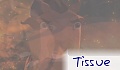 tissue
