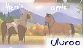 Uluroo