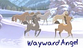 WaywardAngel