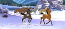 Playing in the snow.