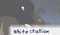 white stallion