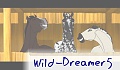 Wild-Dreamer5