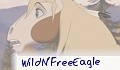 WildN'FreeEagle WildN'FreeEagle