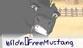 Wildn�FreeMustang