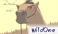 WildOne
