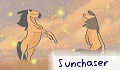 Sunchaser