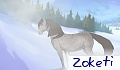 Zoketi