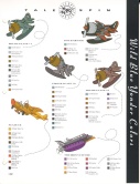 Planes colors