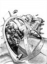 Bullet rain