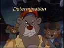 Determination