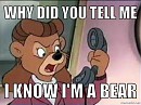 Roar, I'm Rebecca the bear!